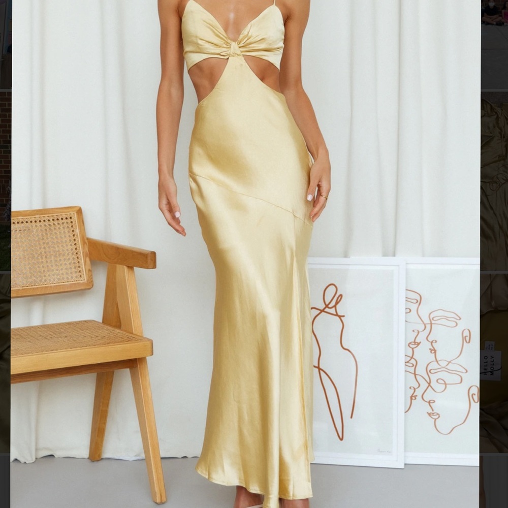 NWT satin hello molly dress